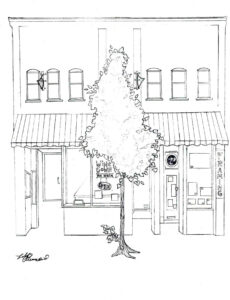 The Building We Call Home | Historic Downtown Brevard Building - Historic Building Downtown Brevard NC